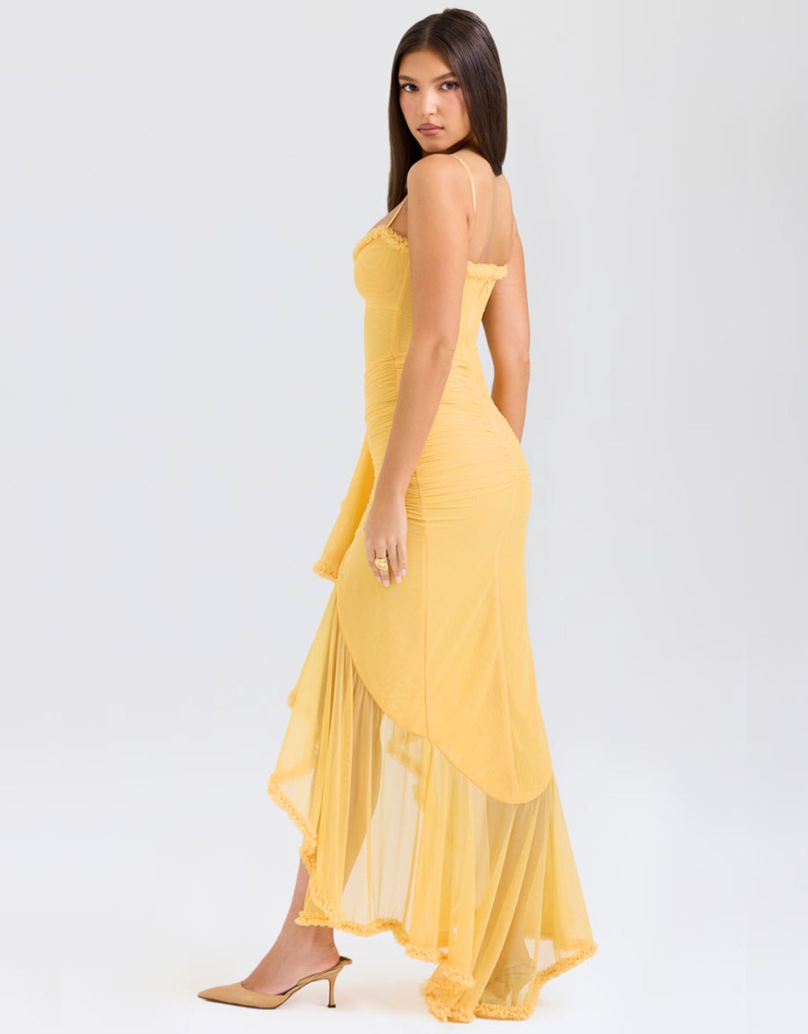 Milenara Maxi Dress