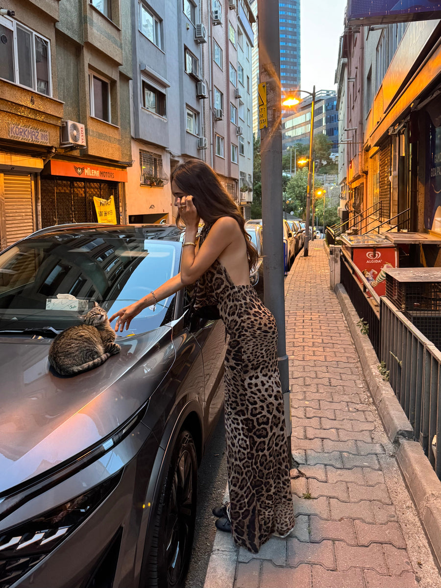 Columbine Maxi Dress - leopard