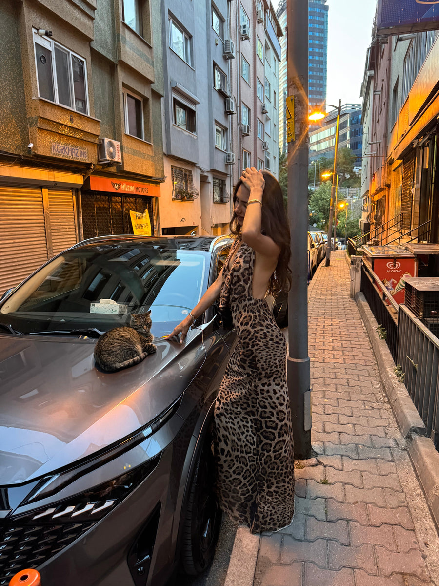 Columbine Maxi Dress - leopard
