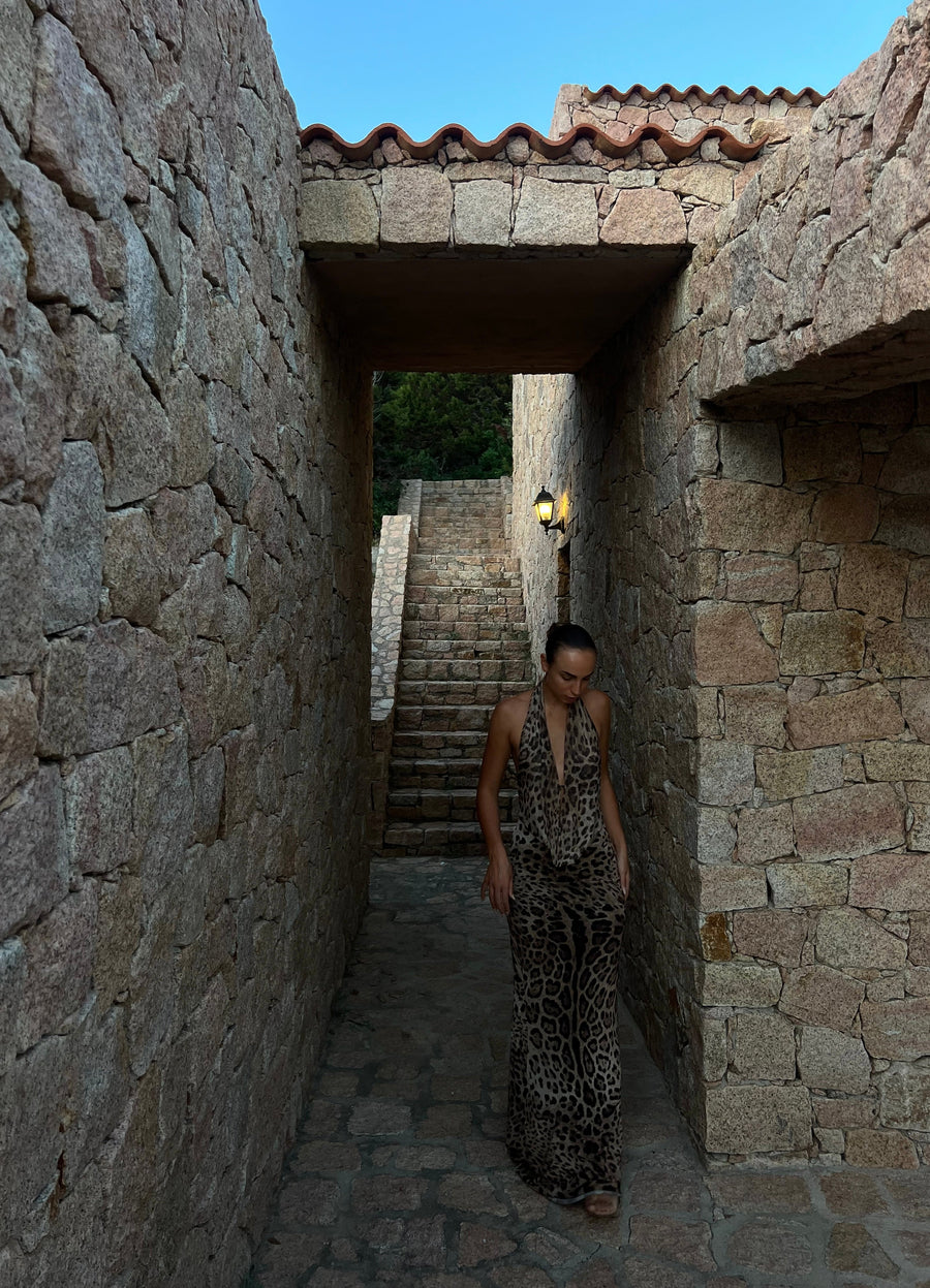 Columbine Maxi Dress - leopard
